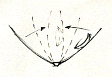2.gif (16405 byte)