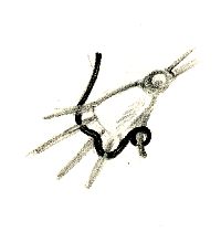 armon05.gif (7897 byte)