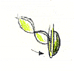 bottone.gif (8056 byte)