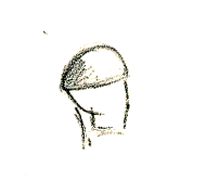 ergotesta.gif (4272 byte)