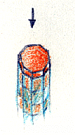 g1.gif (12938 byte)