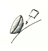 h1.gif (7990 byte)