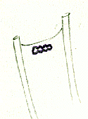 i11.gif (9299 byte)