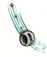 i5.gif (14320 byte)
