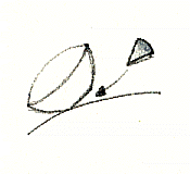 i7.gif (7730 byte)