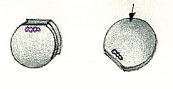 i9.gif (17956 byte)