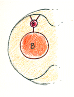 increm2.gif (13755 byte)