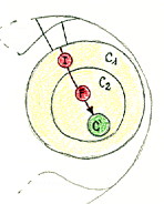 increm3.gif (11227 byte)