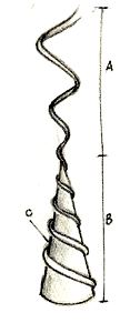 legg09.gif (9261 byte)
