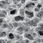 legg2.gif (22345 byte)