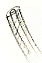matrnuov1.gif (6309 byte)