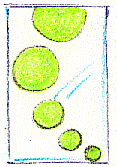 s1.gif (12919 byte)