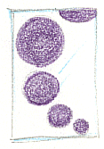s5.gif (12532 byte)
