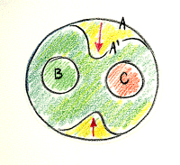 schema01.gif (20369 byte)
