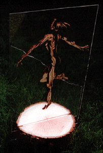 scult.gif (68573 byte)