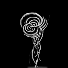 visioni - ramificazione