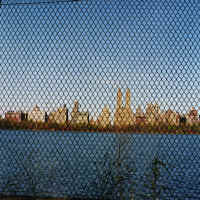 central park.jpg (393678 bytes)
