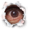 eyeball1.gif (15346 byte)