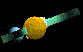 pianta.GIF (5497 byte)