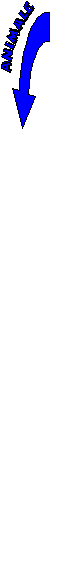 interpr.gif (9298 byte)