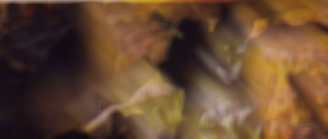 Paolo e Francesca