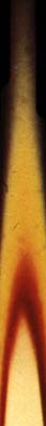 fiamma_partic.jpg (7313 byte)