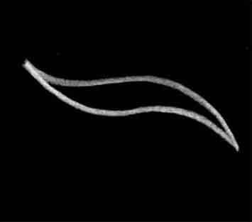fiammamat3.jpg (7835 byte)