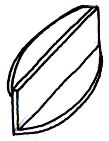 scenh.JPG (20620 byte)