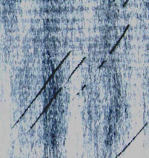 scenl.JPG (44017 byte)