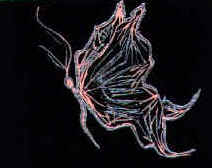 farf.jpg (13216 byte)