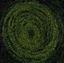 luce.jpg (27799 byte)