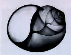 ma1.jpg (25007 byte)