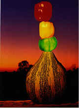 ma2.jpg (21496 byte)