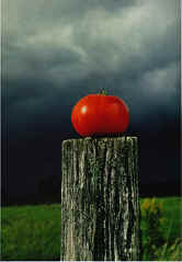 ma3.jpg (29460 byte)