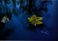 ma5.jpg (27100 byte)