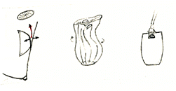 emergenza.gif (9022 byte)