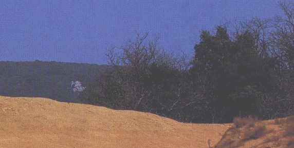 FOT11.gif - 541951,0 K