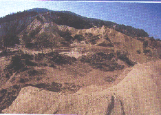 FOT9.gif - 331394,0 K