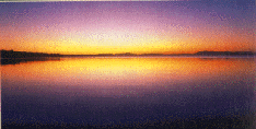 TRAMONTO.gif - 29471,0 K