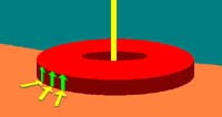 Pvert.JPG (5420 bytes)