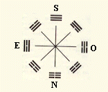 tigr2.JPG (13988 bytes)