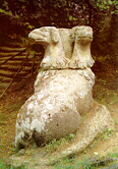 Cerbero.JPG (36047 bytes)