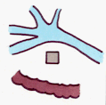 Paesf3.gif (5617 bytes)