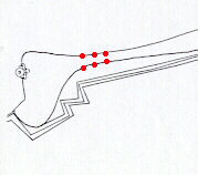 Pigi.JPG (29078 bytes)