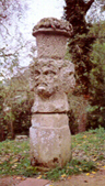 giano1.JPG (30734 bytes)