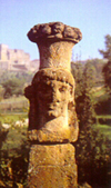 giano3.JPG (29899 bytes)