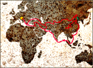 malcop_r.gif (16596 bytes)
