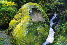 orca.jpg (68714 bytes)
