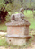 sfi11.JPG (7157 bytes)