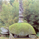 tartaru2.JPG (6240 bytes)